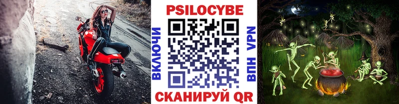 Псилоцибиновые грибы GOLDEN TEACHER mega сайт Рошаль купить